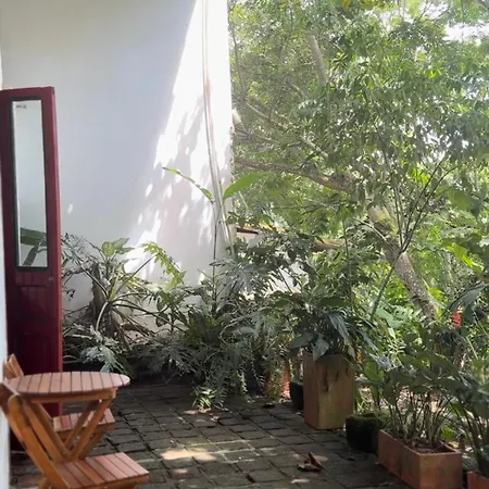 Finca La Argelia Quimbaya Extérieur photo