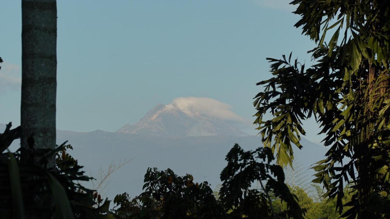 La Argelia Lodge Quimbaya