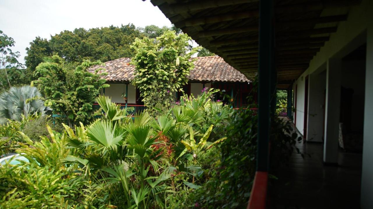 La Argelia